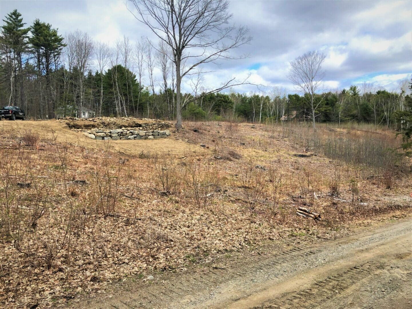 Cost Effective Land Clearing