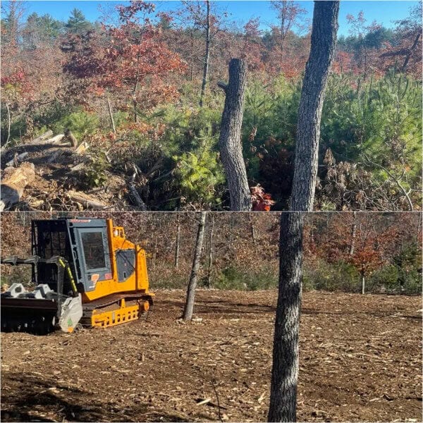 Forestry Mulcing and Land Clearing in Maine