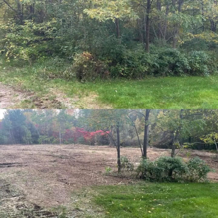 Land Clearing, Pasture and Field Reclaiming in Maine Land Clearing, Pasture and Field Reclaiming in Maine
