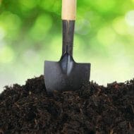 Shovel - top soil and mulch